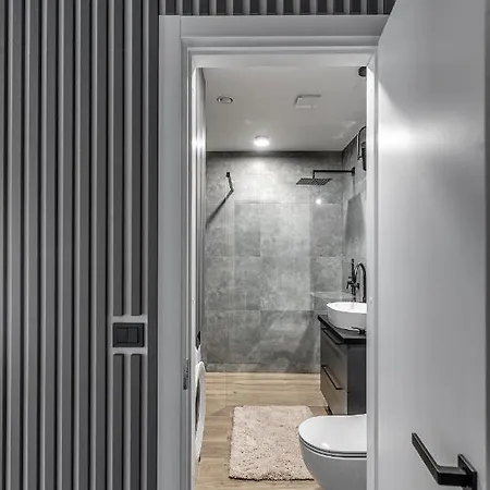 Urban Center Apartment
